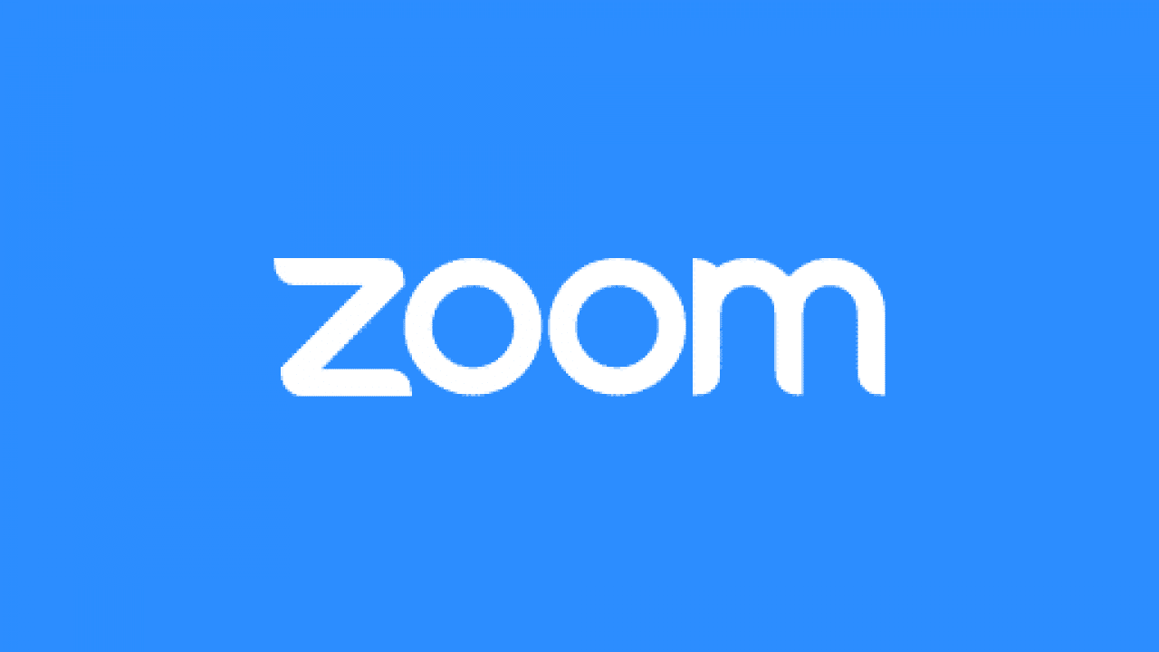 zoom giphy